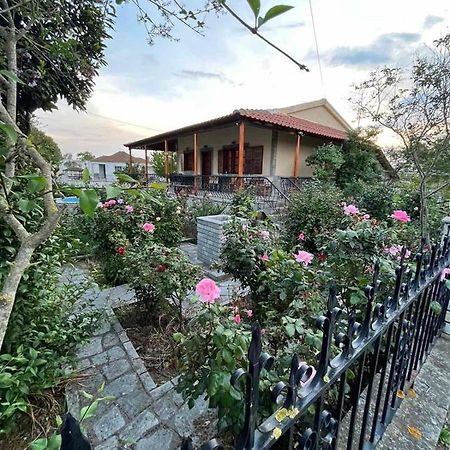 Valsamo Luxury Cottage Chaidefto エクステリア 写真