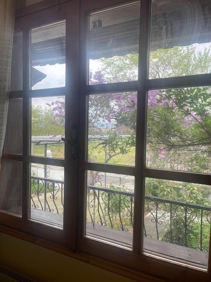 Valsamo Luxury Cottage Chaidefto エクステリア 写真